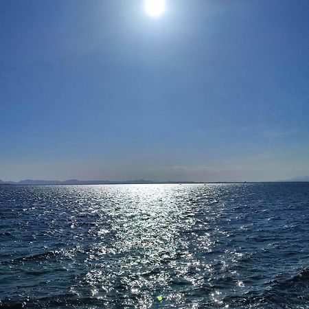 Apartamento Cerca De La Playa La Mata Torre La Mata Zimmer foto